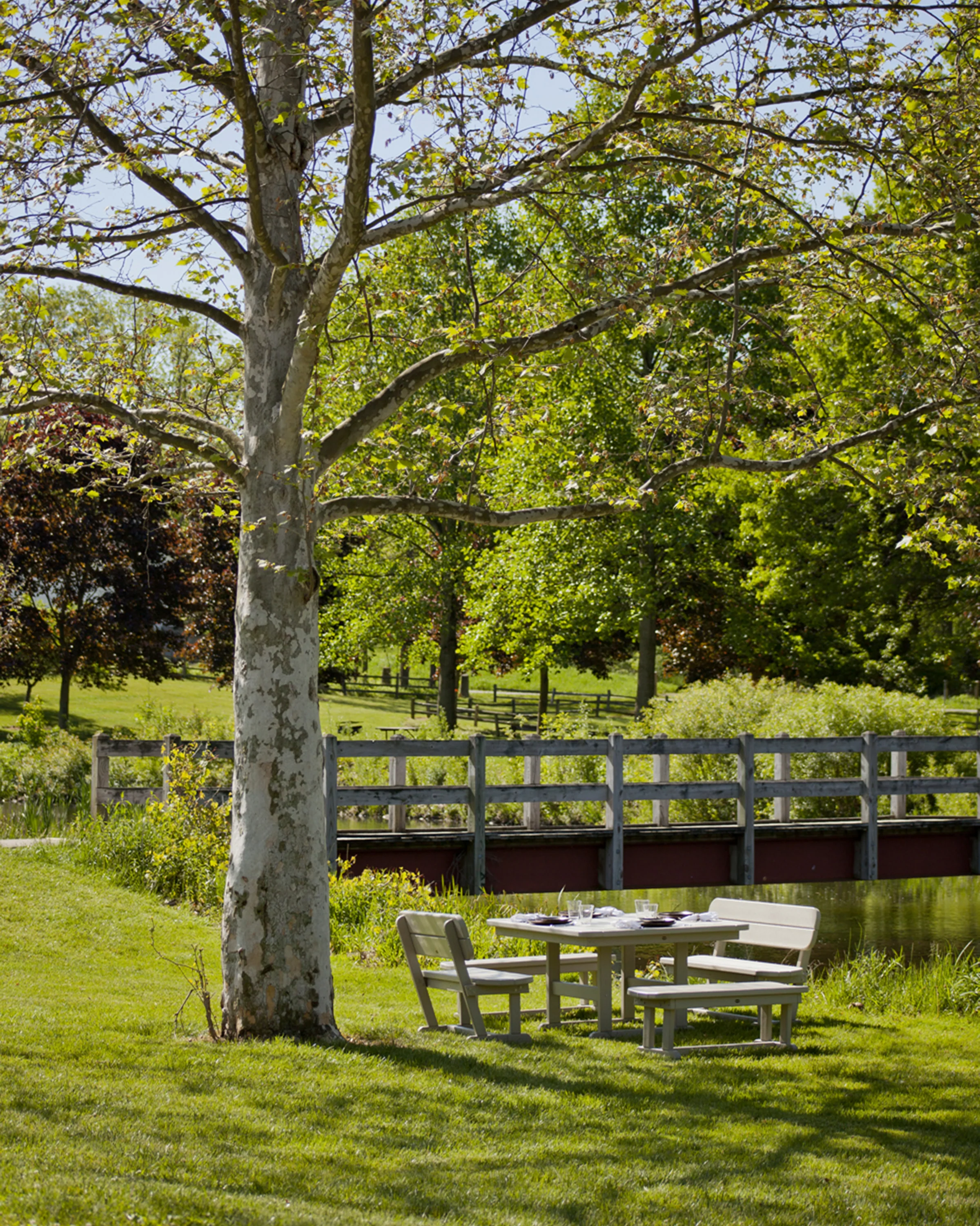 Park 48" Bench - Image 4