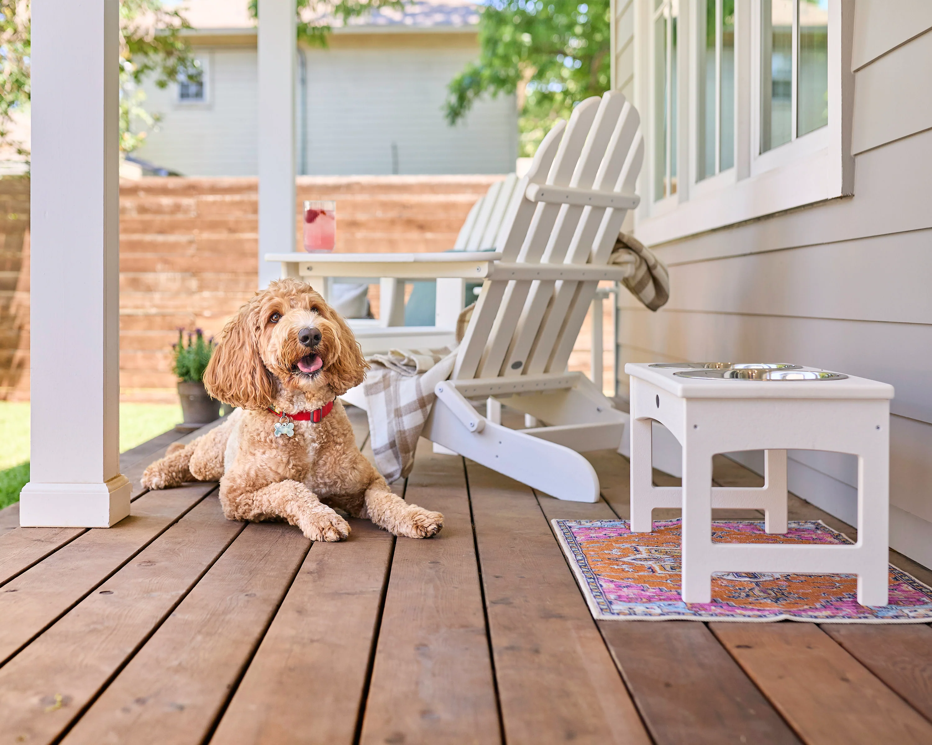 Pet Feeder - Image 10