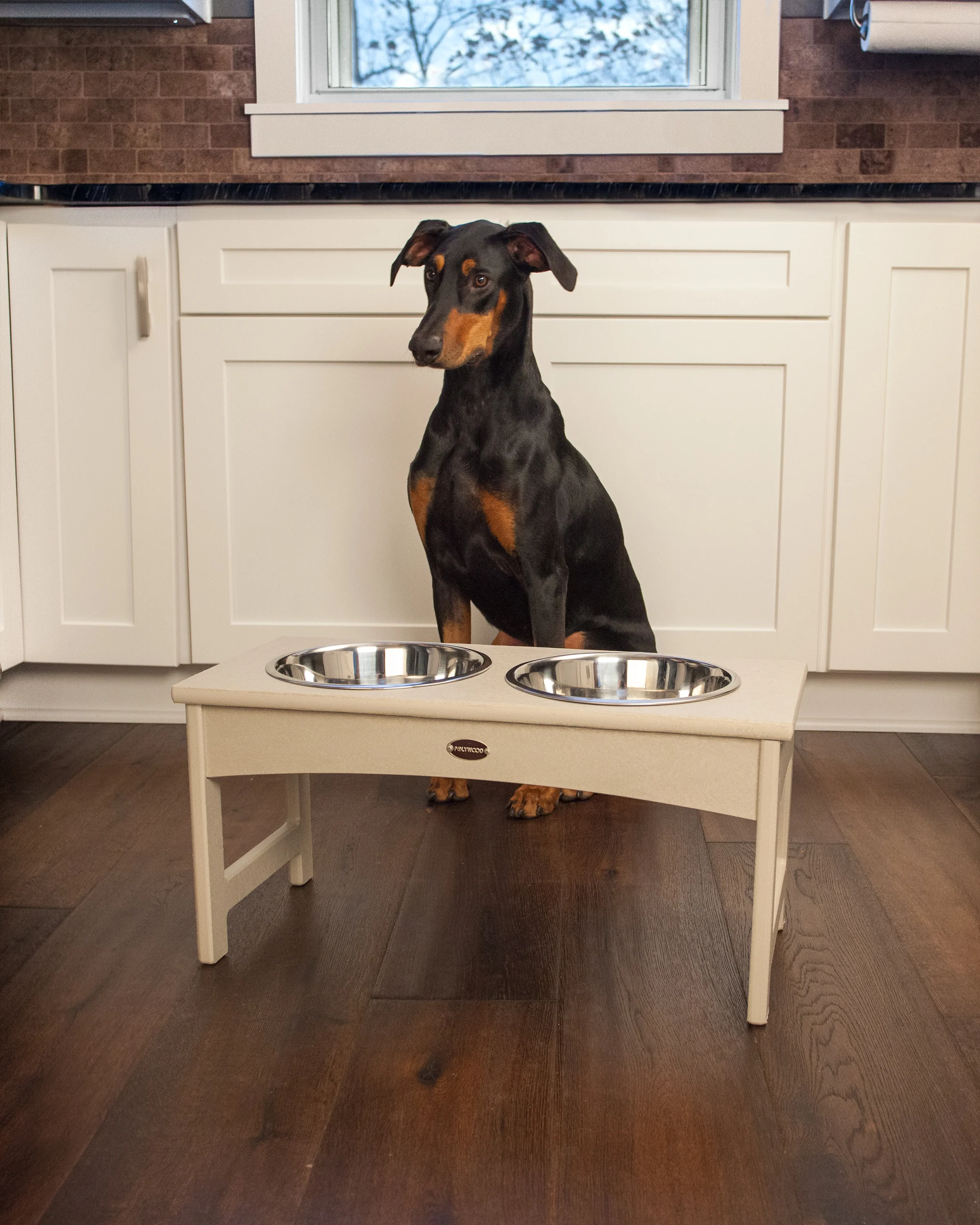 Pet Feeder - Image 2