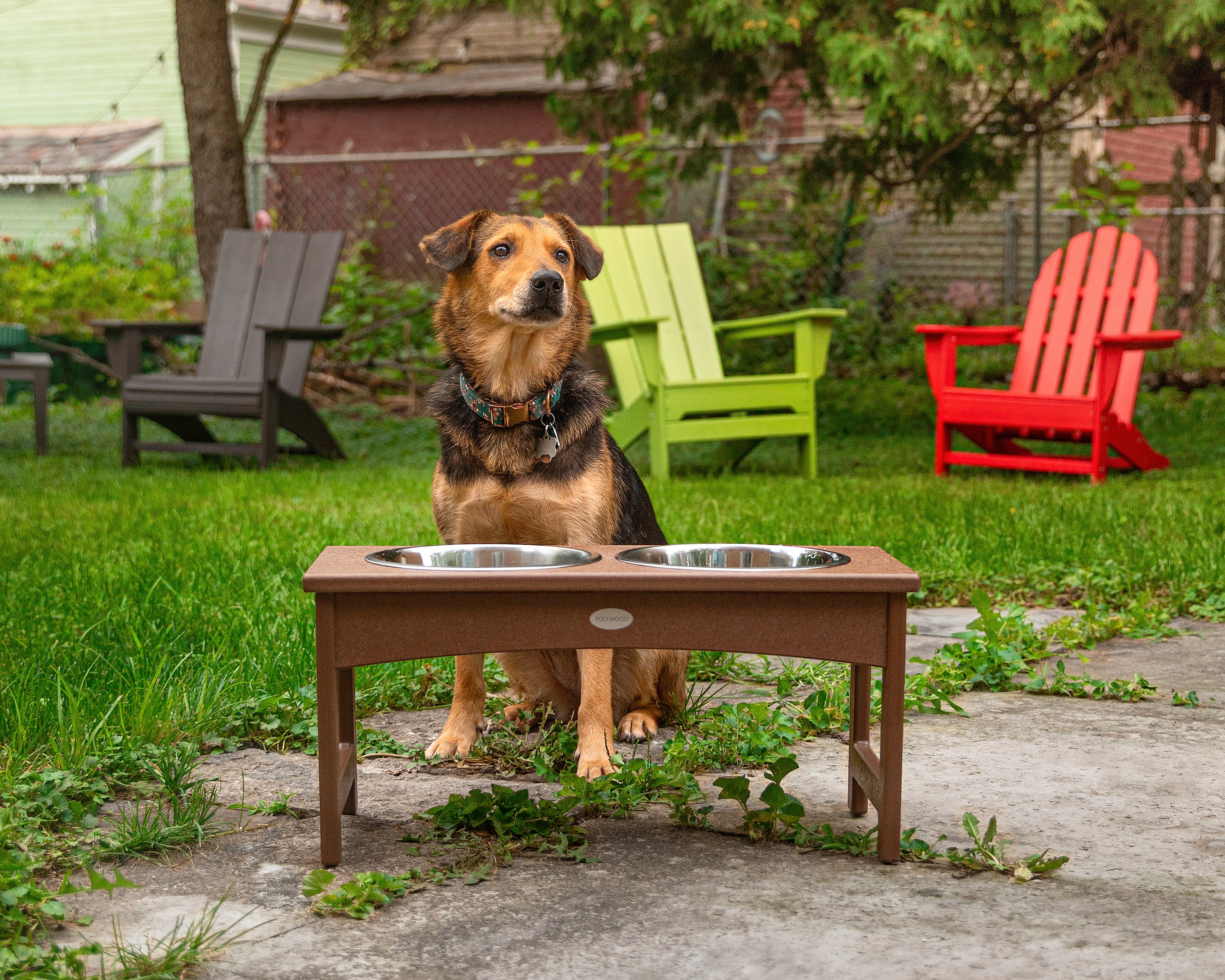 Pet Feeder - Image 7