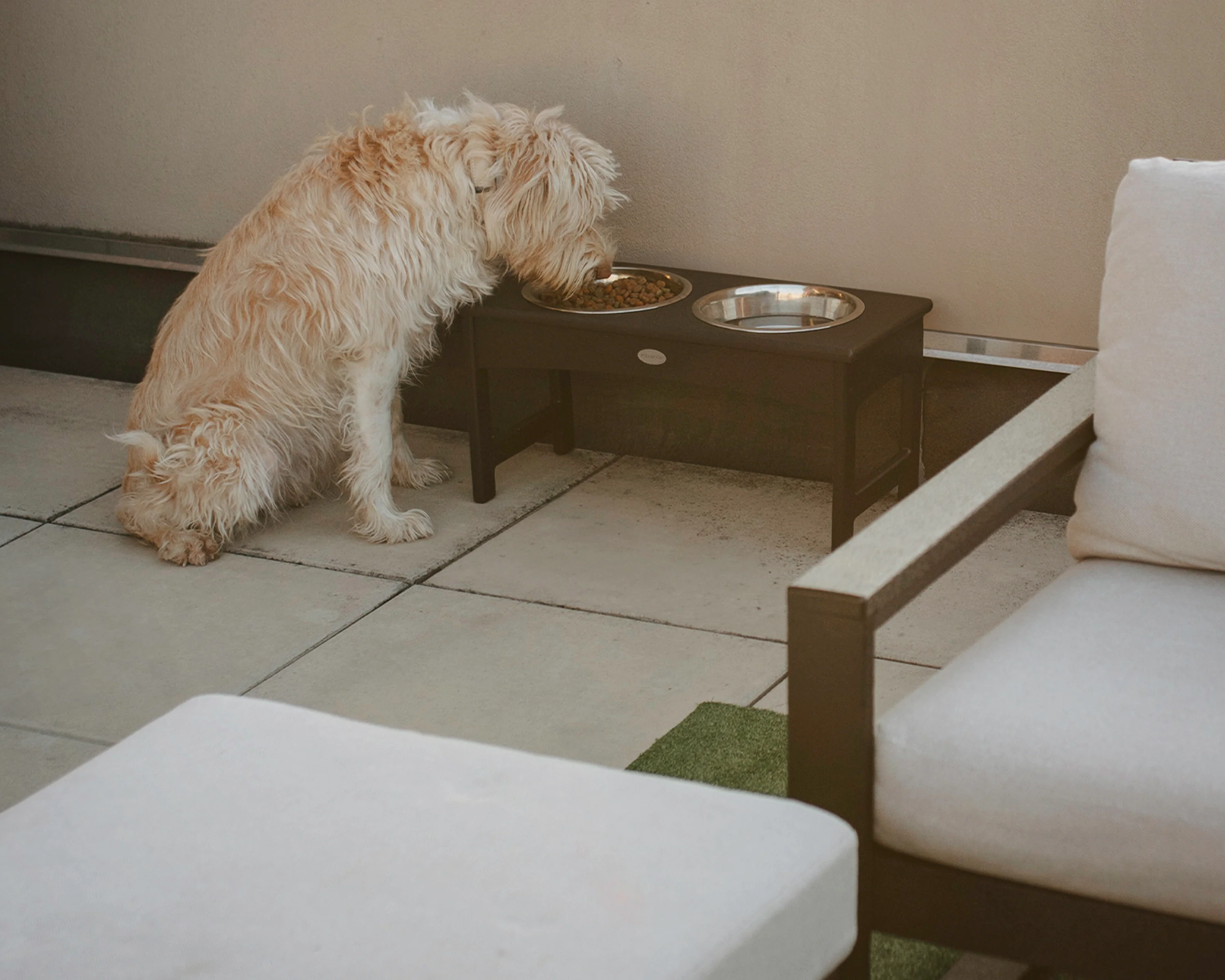 Pet Feeder - Image 9